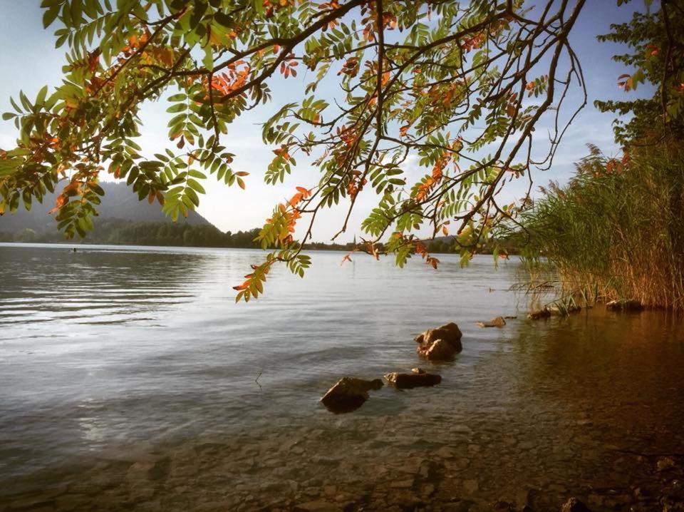 Apartmenthaus Der Johanneshof - Tolle Lage Nah Am See Шлирзе Экстерьер фото